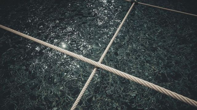 Rope grid crossing reflective water with sunlight and texture