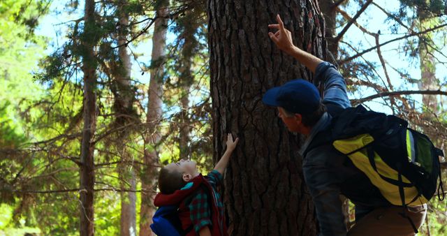 Father and Son Exploring Forest, Bonding Activity - Download Free Stock Images Pikwizard.com