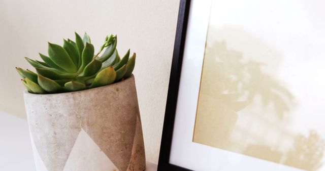 A succulent plant sits in a stylish concrete planter next to a framed picture, with copy space. The arrangement adds a touch of greenery and modern aesthetic to a minimalist interior design.