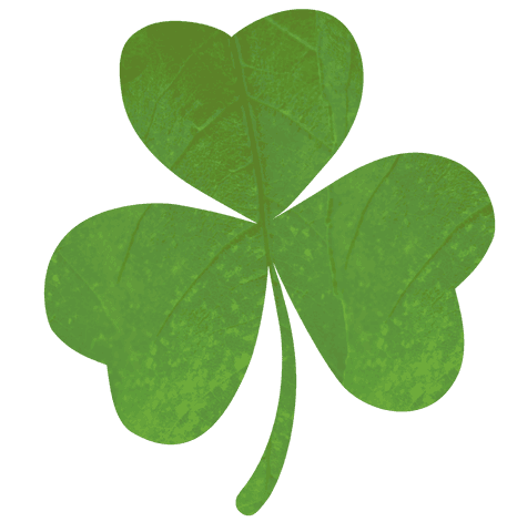 St. Patrick's Day Clover Illustration on Transparent Background - Download Free Stock Videos Pikwizard.com