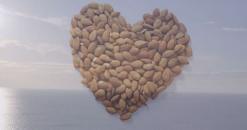 Heart-Shaped Almond Cluster at Peaceful Coastal Vista