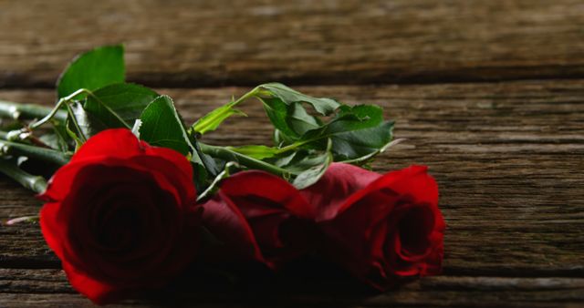 Red roses lying on a rustic wooden surface viewed in natural light signaling romance and affection. Perfect for use in Valentine's Day cards, romance-themed marketing materials, love notes, and floral shop promotions.