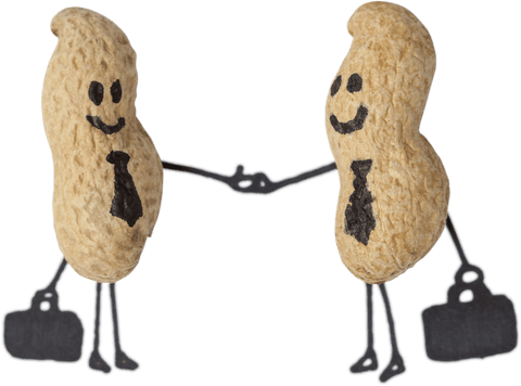 Transparent peanut character business handshake with cartoon style accessories