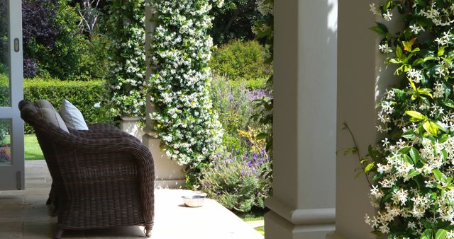 Cozy Garden Patio With Wicker Chair And Flowering Vines - Download Free Stock Images Pikwizard.com