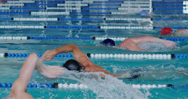 Swimming Race in Indoor Pool with Competitors - Download Free Stock Images Pikwizard.com