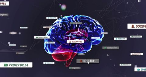 Rotating 3d brain visualizing networked data tags and neural analytics