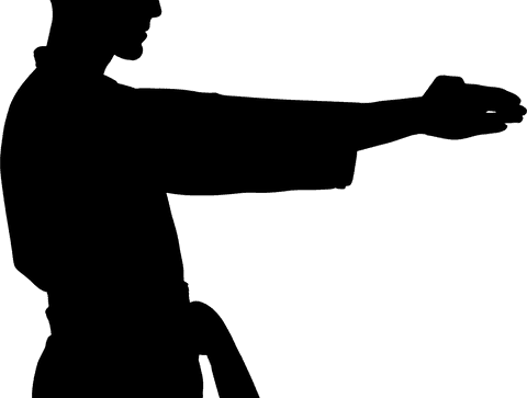 Silhouette of male judo fighter with transparent background