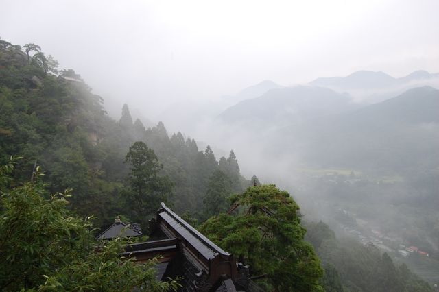 Mountain view showcasing dense fog enveloping lush, green trees, creating a serene and tranquil atmosphere. Perfect for use in promoting relaxation, nature tourism, meditation, and outdoor scenery appreciation.