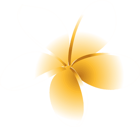 Gradient plumeria flower illustration on transparent background