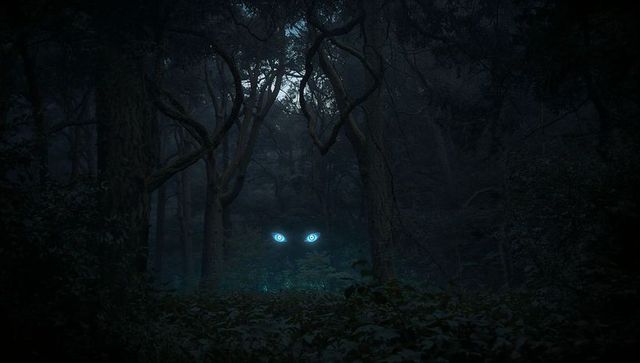 Mysterious Glowing Blue Eyes in Dark Forest at Night