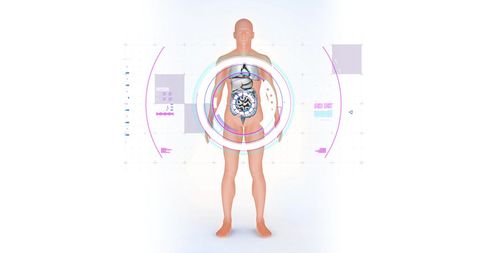 Futuristic Digital Interface Highlighting Human Anatomy - Download Free Stock Images Pikwizard.com