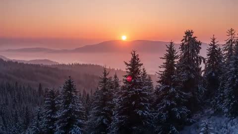 Sunrise Over Snowy Fir Forest with Floating Heart Overlay, Misty Alpine Dawn Timelapse