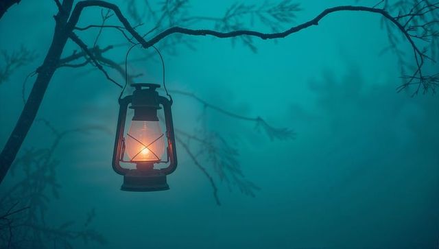 Mystical Lantern Hanging from Tree in Foggy Forest
