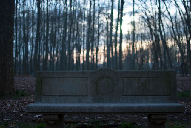 Empty stone bench in quiet forest during early morning. Ideal for themes of solitude, tranquility, and nature, can be used for promoting outdoor activities, meditation, and serene settings.