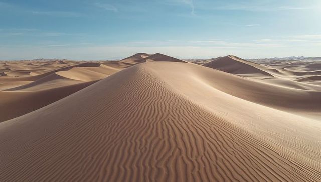 Sunlit sand dune revealing rippled texture across expansive desert panorama
