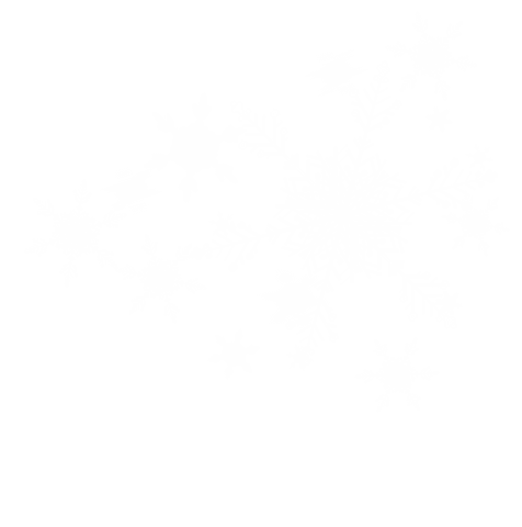 Intricate Snowflakes on Transparent Background for Seasonal Design - Download Free Stock Videos Pikwizard.com