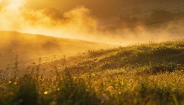 Glowing morning mist over dewy meadow and sunlit golden hills