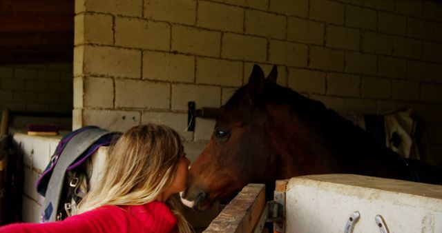 Girl Kissing Horse in Stable - Download Free Stock Images Pikwizard.com