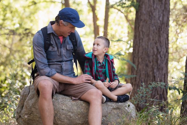 Father and son discussing while sitting on rock in the forest
