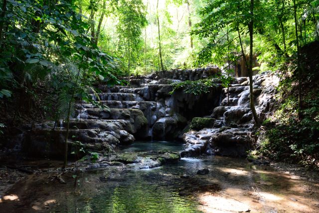 This serene scene of a cascading waterfall nestled within a lush tropical forest offers a calming and tranquil experience. Ideal for promoting eco-tourism, nature resorts, or travel destinations geared toward natural beauty and serenity. Perfect for use in advertisements, brochures, websites, and social media campaigns highlighting unspoiled nature and peaceful environments.