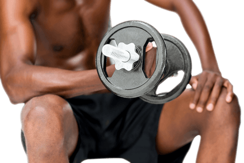 Transparent View of Muscles Highlighted During Dumbbell Workout