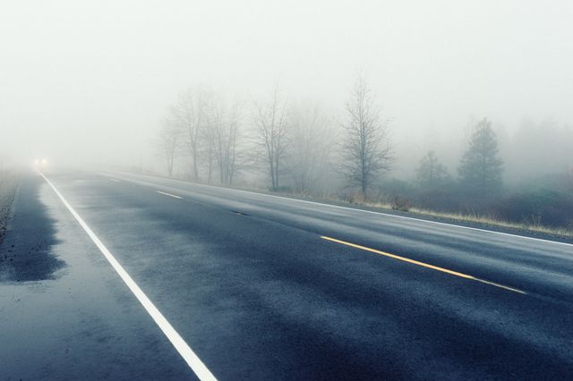 Misty Foggy Morning on Deserted Road with Bare Trees - Download Free Stock Photos Pikwizard.com