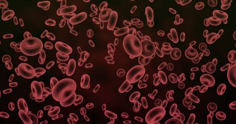 Digital illustration of red blood cells in motion