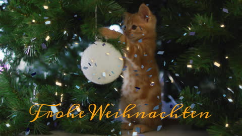 Cute Kitten Christmas Greeting With Bauble and Confetti