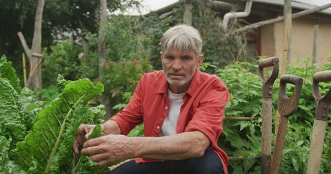 Senior Man Gardening with Organic Vegetables Feeling Accomplished