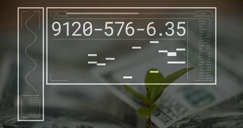 Seedling sprouting through us dollars with futuristic financial hud overlay and digital data