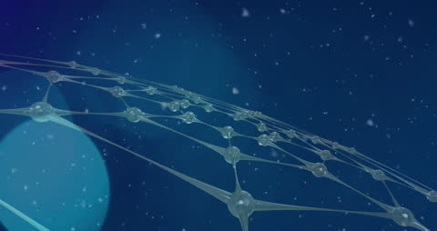 Global Network Animation with Digital Connectivity