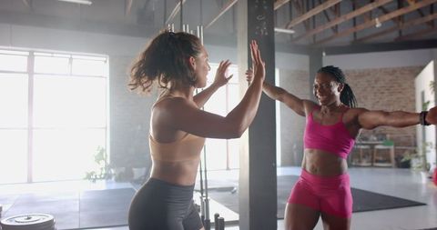 Happy Gym Partners High-Fiving After Workout - Download Free Stock Images Pikwizard.com