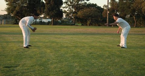 Two cricket teammates practicing catch and throw on sunlit green outfield at golden hour