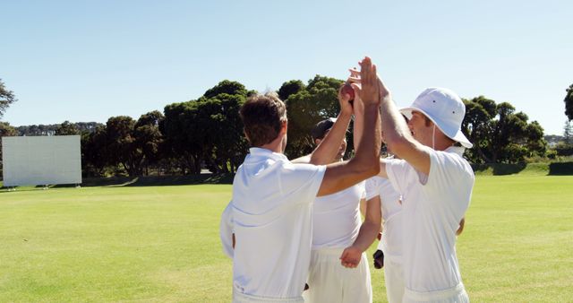 Cricket team celebrating successful play on sunny day - Download Free Stock Images Pikwizard.com