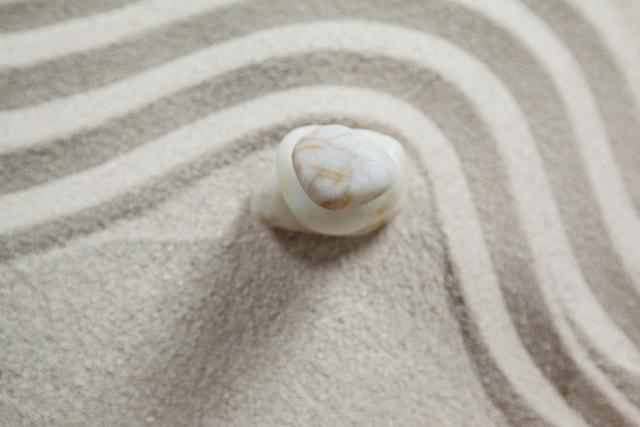 White pebble resting on rippled sand surface, evoking a sense of tranquility and balance. Ideal for use in themes related to meditation, relaxation, nature, and minimalism. Perfect for backgrounds, wellness blogs, and zen garden concepts.