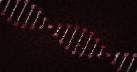Rotating DNA Strand on Dark Background With Athletic Stitches - Download Free Stock Images Pikwizard.com