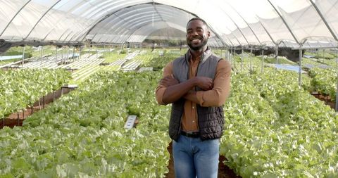 Smiling Farmer in Greenhouse Monitoring Hydroponic Crops