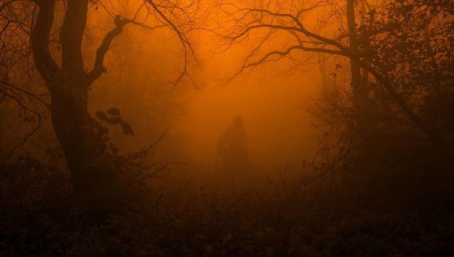 Cyclist navigating foggy forest path at dusk in mystical atmosphere