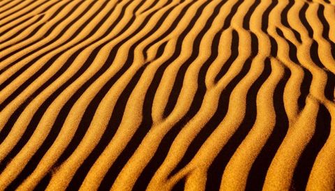 Golden sand ripples on desert dune at golden hour highlighting wind-carved texture