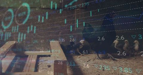 Mother hen with financial chart overlay illustrating sustainable farming