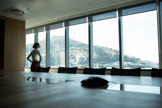 Rear view of businesswoman looking through window in conference room