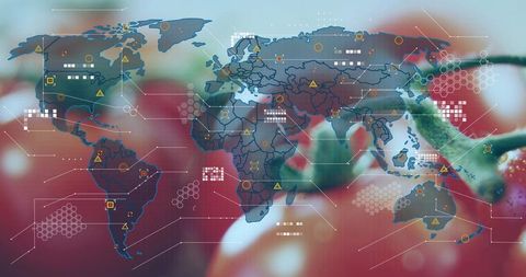 Translucent World Map Overlaying Tomatoes with Digital HUD Grid for Food Supply Analytics