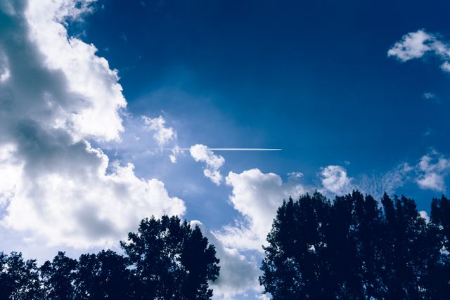 Beautiful daytime scene showing an airplane contrail crisply lined across a vibrant blue sky punctuated by fluffy clouds and framed by the dark silhouettes of trees. Use this for travel brochures, nature blogs, environmental presentations, and serene, uplifting imagery.