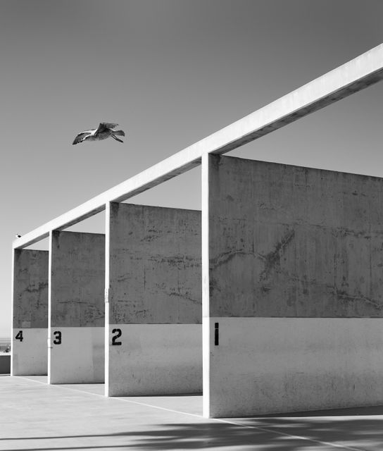 This image captures a stark concrete structure with numbered columns, creating a strong geometric pattern under a clear sky. A bird is seen in mid-flight, adding a touch of nature to the urban scenery. Ideal for use in architectural presentations, modern art concepts, minimalist design projects, and urban photography collections.