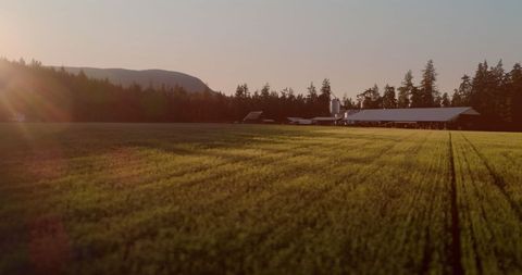 Tranquil Farmland Landscape on Bright Sunny Day - Download Free Stock Images Pikwizard.com