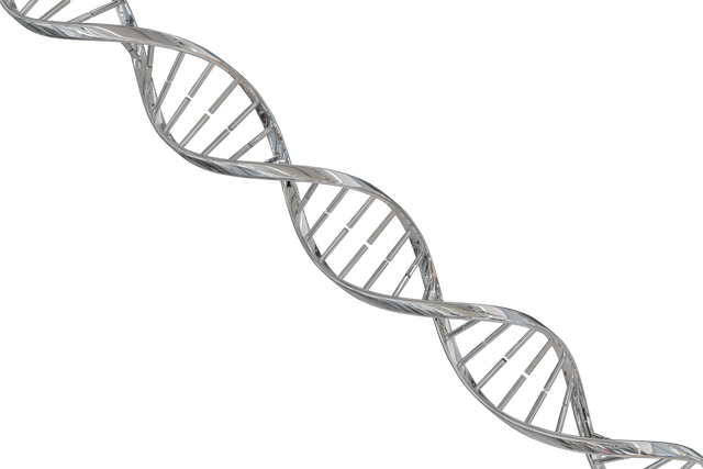 Transparent Shiny DNA Double Helix Structure - Download Free Stock Videos Pikwizard.com