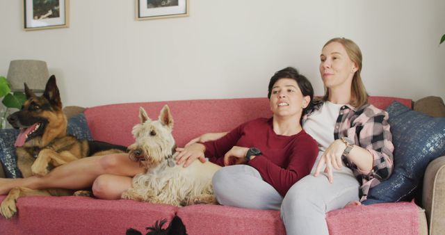 Happy Couple Relaxing at Home with Two Dogs on Sofa - Download Free Stock Photos Pikwizard.com