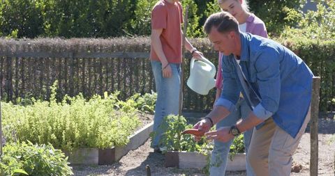 Father teaching teens gardening in backyard raised beds harvesting herbs