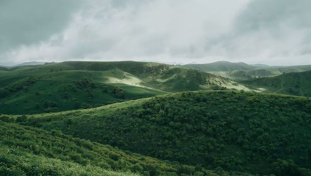 Rolling green hills and shrub-covered ridge under moody cloudy sky with winding footpaths