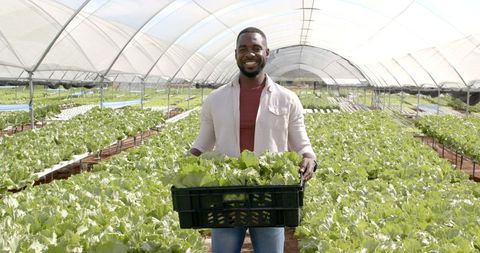 Smiling Farmer Holding Fresh Harvest in Lush Hydroponic Greenhouse